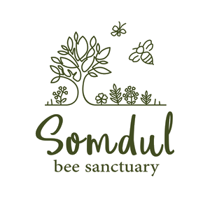 Somdul Bee Sanctuary