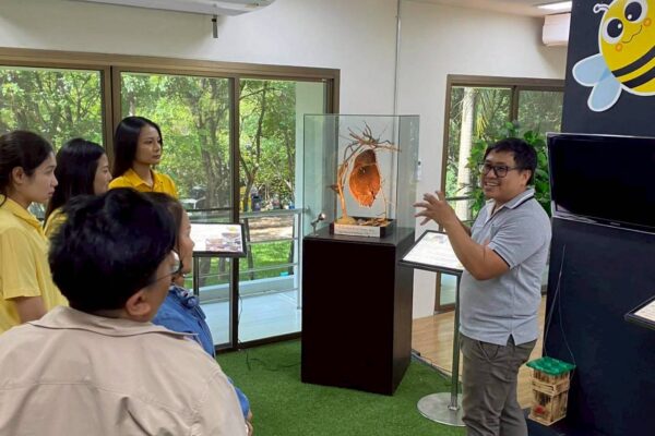 Bee Exhibition พิพิธภัณฑ์ผึ้ง
