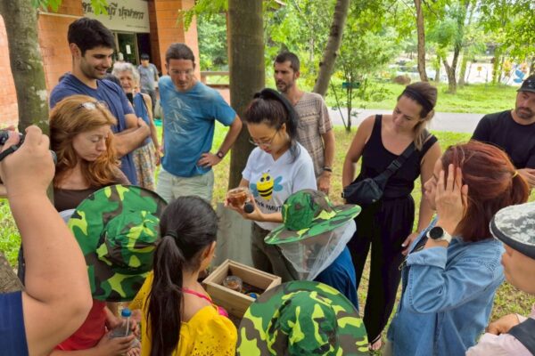 Bee and Stingless Bee Diversity ความหลากหลายของผึ้งและชันโรง